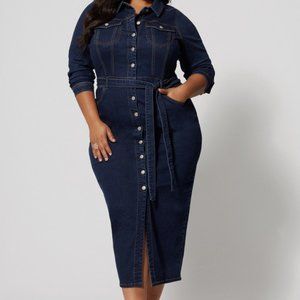 Fashion to Figure Denim Dress NWOT 4